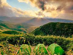 Dzukou Valley Trekking Tour